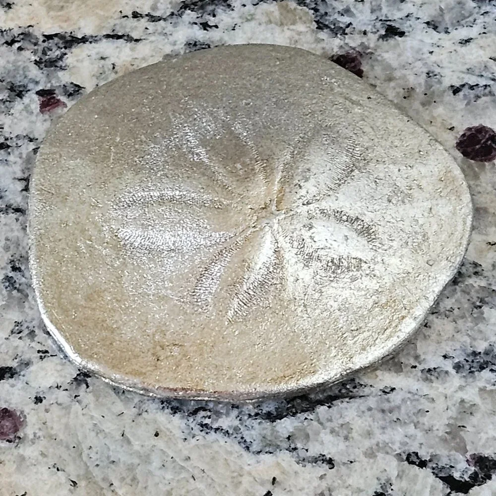 REGINA ANDREW SILVER SAND DOLLAR COASTAL BEACH VASE FILLER HOME TABLE DECOR